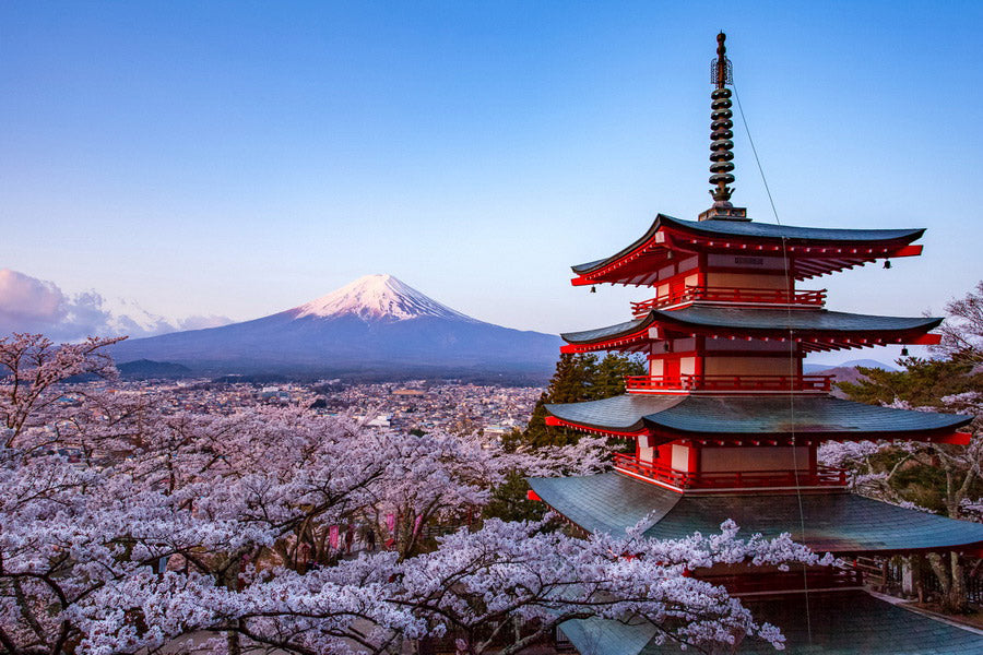 JAPÓN AGOSTO 2026