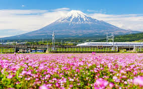 JAPÓN AGOSTO 2026
